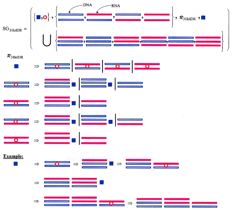 Shape Grammar for DNA/RNA Hybrid Triple-Helices
