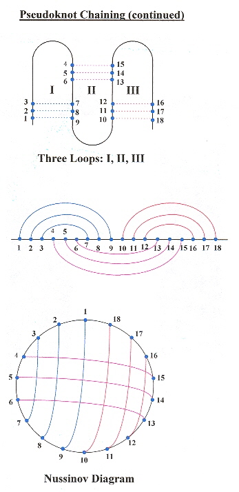 Three-Loop Pseudoknot Chain