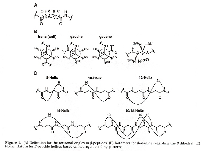 β-peptide Helices