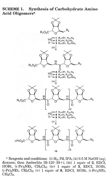 Carbohydrate Amino Acid Oligomers