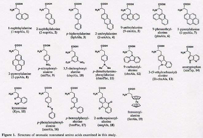 Nonnatural amino acids