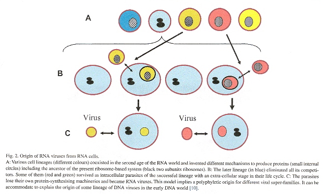RNA Parasitic viruses