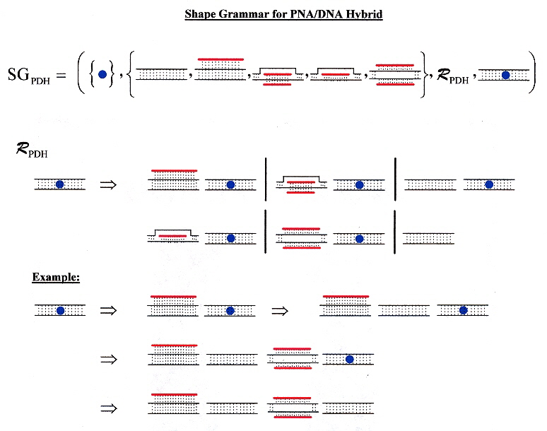 PNA/DNA hybrid shape grammar