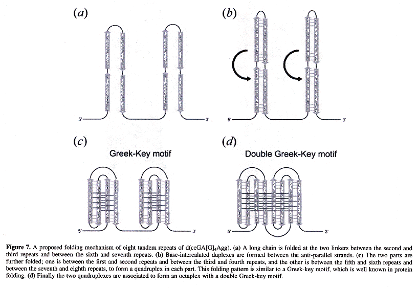 Double Greek-key Octaplex I-motif Structures