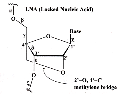 Locked Nucleic Acid