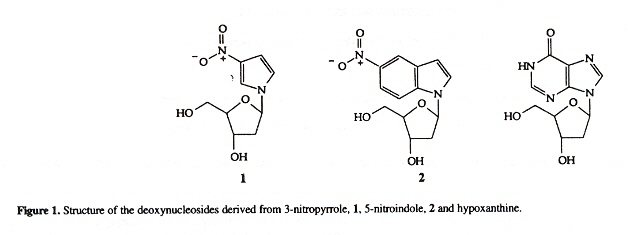 3-nitropyrrole, 5-nitroindole, hypoxanthine