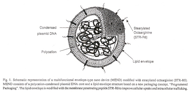 MEND Nano-device Plasmid-DNA Vector