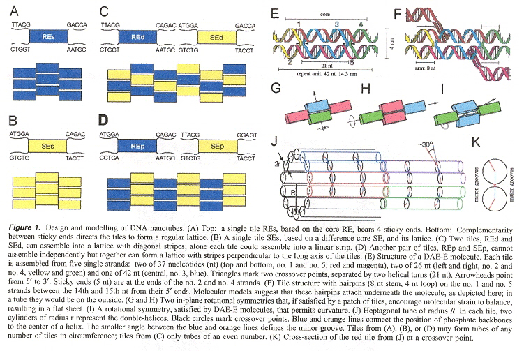 DNA Nanotubes