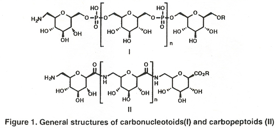 Carbopeptoids