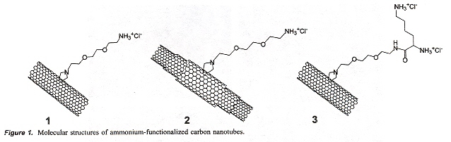Single, Multi, and Single-Lysine walled nanotubes