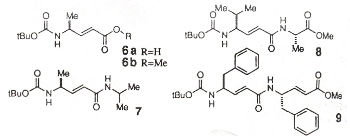 Vinylogous Polypeptides 1