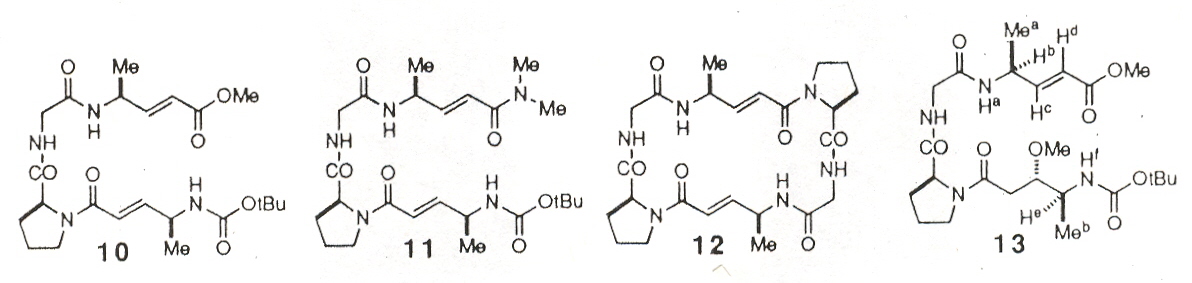 Vinylogous Polypeptides 2